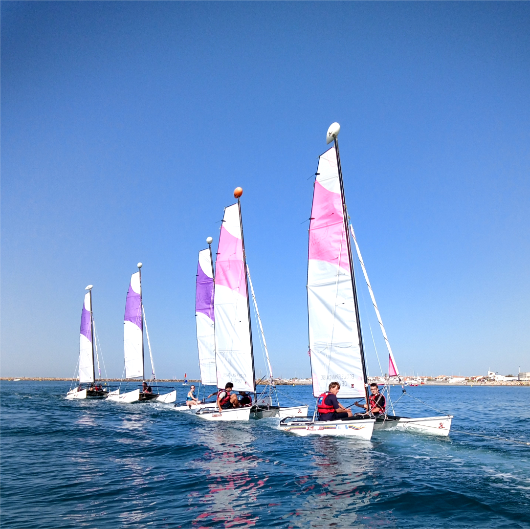 stage de voile et activité